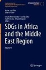 Ismaila Rimi Abubakar, Izael da Silva, Rudi Pretorius, Rudi Pretorius et al, Khaled Tarabieh - SDGs in Africa and the Middle East Region