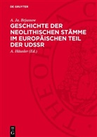 A. Ja. Brjussow, A. Häusler - Geschichte der neolithischen Stämme im europäischen Teil der UdSSR