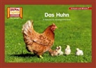 Das Huhn / Kamishibai Bildkarten