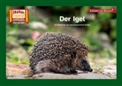Der Igel / Kamishibai Bildkarten