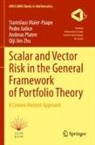 Pedro Júdice, Stanislaus Maier-Paape, Andr Platen, Andreas Platen, Qiji Jim Zhu - Scalar and Vector Risk in the General Framework of Portfolio Theory