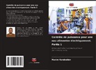Maxim Kondratiev - Contrôle de puissance pour une eau alimentée électriquement. Partie 1