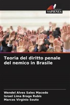 Wendel Alves Sales Macedo, Israel Lima Braga Rubis, Marcos Virginio Souto - Teoria del diritto penale del nemico in Brasile