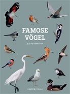 Silvia Ungersböck - Famose Vögel - Postkartenbuch