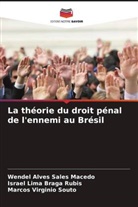 Wendel Alves Sales Macedo, Israel Lima Braga Rubis, Marcos Virginio Souto - La théorie du droit pénal de l'ennemi au Brésil