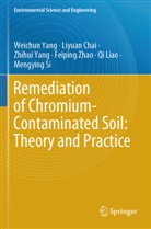 Liyuan Chai, Qi Liao, Mengying Si, Weichun Yang, Zhihui Yang, Zhihui et al Yang... - Remediation of Chromium-Contaminated Soil:  Theory and Practice
