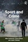 Ellis Cashmore, Ellis (Aston University Cashmore, Jamie Cleland, Cleland Jamie, Kevin Dixon - Sport and Crime