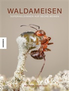 Ingo Arndt, Jürgen Tautz, Jürgen (Prof. Dr.) Tautz, Ingo Arndt - Waldameisen