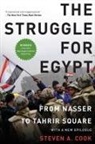 Steven A. Cook, Cook Steven A. - The Struggle for Egypt