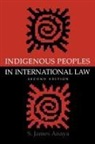 Anaya, S James Anaya, S. James Anaya - Indigenous Peoples in International Law