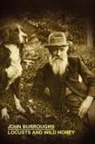 John Burroughs - Locusts and Wild Honey