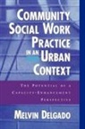 Melvin Delgado, Delgado Melvin - Community Social Work Practice in an Urban Context