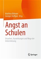 Matthias Böhmer, Steffgen, Georges Steffgen - Angst an Schulen