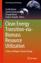 Anuj K. Chandel, Deepak Kumar, Sachin Kumar, Suresh Sundaramurthy - Clean Energy Transition-via-Biomass Resource Utilization