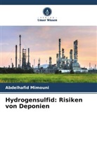 Abdelhafid Mimouni - Hydrogensulfid: Risiken von Deponien