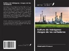 Abdelhafid Mimouni - Sulfuro de hidrógeno: riesgos de los vertederos