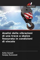 Asha Gawali, Sanjay Kumawat - Analisi delle vibrazioni di una trave a sbalzo fessurata in condizioni di vincolo