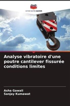Asha Gawali, Sanjay Kumawat - Analyse vibratoire d'une poutre cantilever fissurée conditions limites