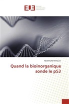 Abdelhafid Mimouni - Quand la bioinorganique sonde le p53