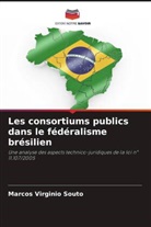 Marcos Virginio Souto - Les consortiums publics dans le fédéralisme brésilien