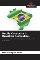 Marcos Virginio Souto - Public Consortia in Brazilian Federalism