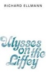 Richard Ellmann - Ulysses on the Liffey
