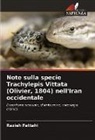Razieh Fattahi - Note sulla specie Trachylepis Vittata (Olivier, 1804) nell'Iran occidentale