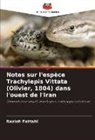 Razieh Fattahi - Notes sur l'espèce Trachylepis Vittata (Olivier, 1804) dans l'ouest de l'Iran