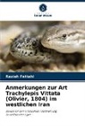 Razieh Fattahi - Anmerkungen zur Art Trachylepis Vittata (Olivier, 1804) im westlichen Iran