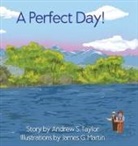 Andrew S. Taylor - A Perfect Day!