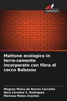 Magnny Maisy de Barros Carvalho, Mariana Matos Arantes, Nara Caroline S. Rodrigues - Mattone ecologico in terra-cemento incorporato con fibra di cocco Babassu
