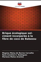 Magnny Maisy de Barros Carvalho, Mariana Matos Arantes, Nara Caroline S. Rodrigues - Brique écologique sol-ciment incorporée à la fibre de coco de Babassu