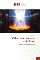 Leila Dehimi - Calcul des réacteurs chimiques