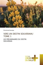 Princetrael Busangu - VERS UN DESTIN SOUVERAIN/ TOME 1