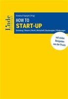 Mehmet Erdem, Markus Fahringer, Kathari Gewessler, Katharina Geweßler, David Gloser, David Haller... - How to Start-up