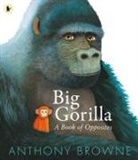 Browne Anthony, Browne Anthony - Big Gorilla: A Book of Opposites