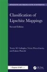 Torrey M. Gallagher, Torrey M. (Monmouth University) Perez-G Gallagher, Víctor Pérez-García, Łukasz Piasecki - Classification of Lipschitz Mappings