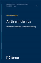 Hannes Ludyga - Antisemitismus