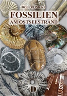 Rolf Reinicke - Fossilien am Ostseestrand