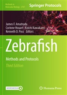 James F. Amatruda, Corinne Houart, Koichi Kawakami, Koichi Kawakami et al, Kenneth D. Poss - Zebrafish