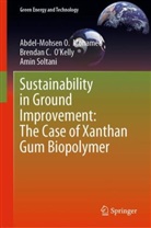 Abdel-Mohsen O Mohamed, Abdel-Mohsen O. Mohamed, Brendan C. O’Kelly, Brendan C OKelly, Brendan C. O'Kelly, Soltani... - Sustainability in Ground Improvement: The Case of Xanthan Gum Biopolymer