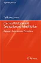 Yuli Panca Asmara, Yuli Panca Asmara - Concrete Reinforcement Degradation and Rehabilitation