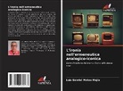 Luis Gabriel Mateo Mejía - L'ironia nell'ermeneutica analogico-iconica