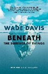 Davis Wade - Beneath the Surface of Things