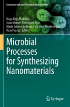 Maria Conceição Branco da Silva Montenegro, Naga Raju Maddela, Ram Prasad, Joan Manuel Rodríguez Díaz - Microbial Processes for Synthesizing Nanomaterials