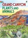 Dot Barlowe - Grand Canyon Plants and Animals