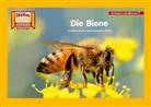 Die Biene / Kamishibai Bildkarten