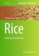 Taiji Kawakatsu - Rice