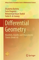 Falleh R. Al-Solamy, Elisabetta Barletta, Sorin Dragomir, Moham Shahid, Mohammad Hasan Shahid - Differential Geometry