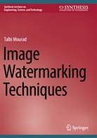 Talbi Mourad - Image Watermarking Techniques